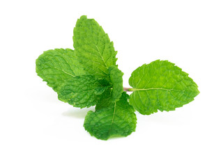 Naklejka na ściany i meble Fresh green mint leaves isolated on white background, Herb and medical concept