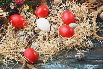 White chicken eggs and dyed in red eggs, quail eggs near dry flowers. Eggs For Easter.