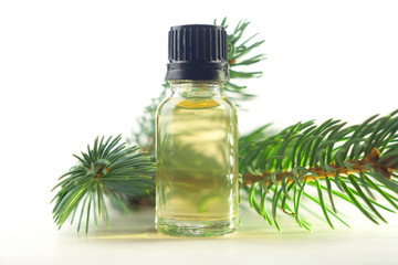 Essence of pine on table in beautiful glass jar