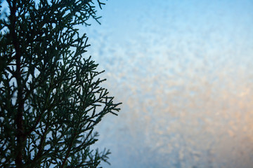 beautiful winter texture patterns of frost on window