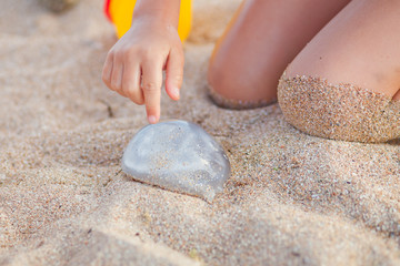 jellyfish in the hands of a child