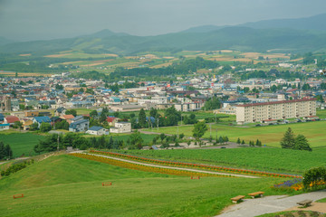 Fototapeta na wymiar Aerial view of the Furano cityscape with flower blossom below