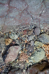 small stones on the beach
