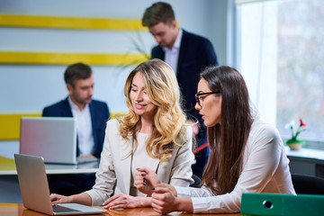 Mature women ladies at meeting table discussing a business plan