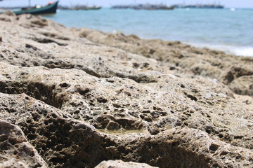 texture of sea coral on the island of Gili Ketapang