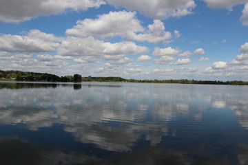 Summer Nature, Ostrozska Nova Ves, Czech republic, Europe