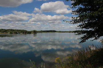 Summer Nature, Ostrozska Nova Ves, Czech republic, Europe