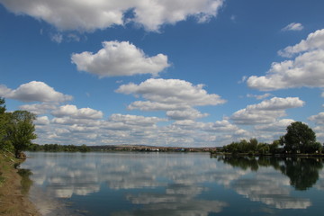 Summer Nature, Ostrozska Nova Ves, Czech republic, Europe