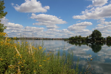 Summer Nature, Ostrozska Nova Ves, Czech republic, Europe