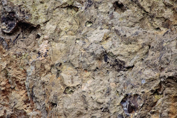 Fototapeta na wymiar texture of limestone