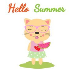 Hello summer. Beautiful cat in glasses eats watermelon isolated with white background.