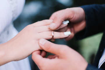 Hands of groom and bride with rings