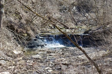 A view of the waterfall in the forest though the tree branches.