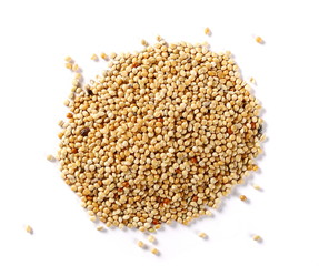 Mixed bird seeds, millet pile isolated on white background