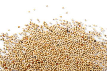 Mixed bird seeds, millet pile isolated on white background
