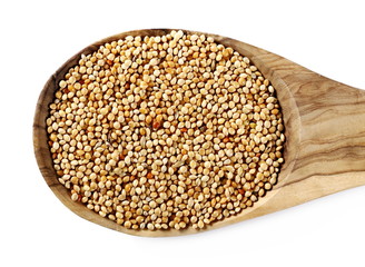 Mixed bird seeds, millet pile with wooden spoon isolated on white background