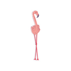 Hand drawn vector illustration pink flamingo. Large wild bird with long neck and legs. Wildlife and fauna theme