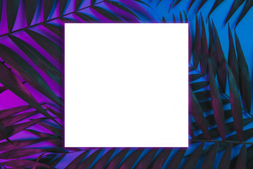 Tropical and palm leaves in vibrant bold gradient holographic neon colors , background.