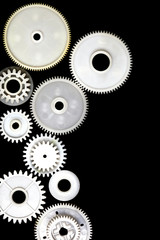 white pinion on a black