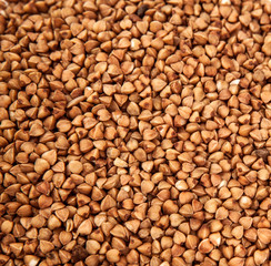 background of buckwheat cereal close up