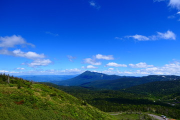 Obraz na płótnie Canvas 十和田八幡平国立公園。八幡平山頂より岩手山を望む。岩手　日本。６月下旬。