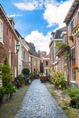 Fototapeta na wymiar Typical residential area decorated with green plants in Haarlem, the Netherlands 