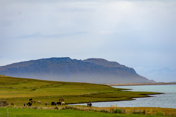 Iceland. Beautiful summer landscapes with a view of the nature of the island