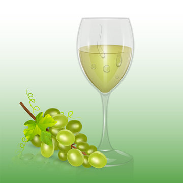 Transparent vector wine glass with White wine, template of glassware for alcoholic drinks. Realistic vector illustration