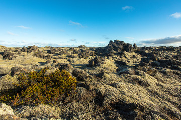 Iceland. Beautiful summer landscapes with a view of the nature of the island