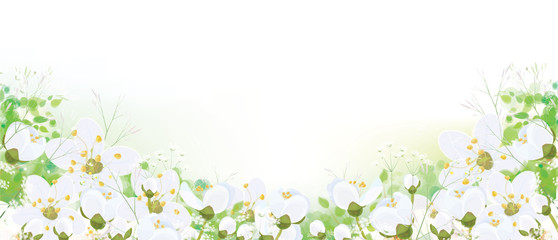 Plakat Vector floral border. White flowers and leaves, isolated on white.