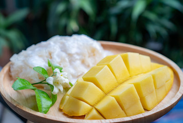 mango and sticky rice