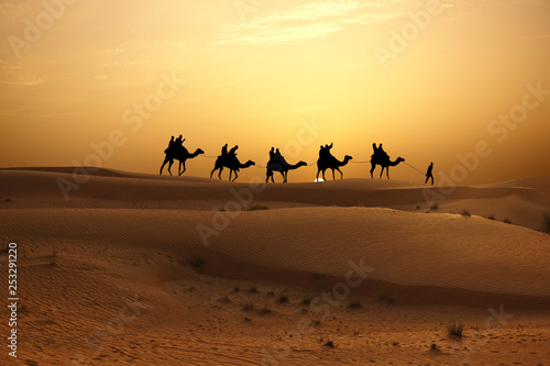 A camel caravan crossing sand dunes at sunset