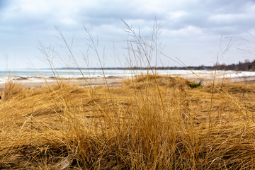 Fototapeta premium Ipperwash Beach in Winter