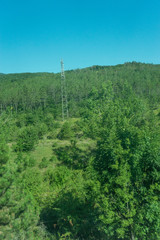 Italy,La Spezia to Kasltelruth train, a person standing on a lush green forest