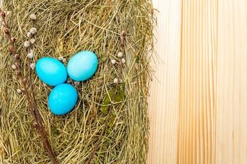Easter eggs concept in a nest on hay with willow seals on wooden background.