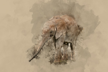 Beautiful watercolour painting of African Elephant Loxodonta Africana - obrazy, fototapety, plakaty