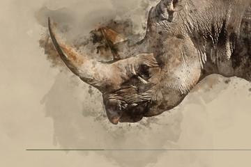 Beautiful watercolour painting of Eastern Black Rhino Diceros Bicornis Michaeli © veneratio