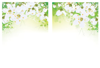 Plakat Vector floral banners. White flowers and leaves border, isolated on white.