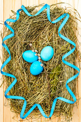 Easter eggs concept in a nest on hay with willow seals and blue polka dot ribbon on wooden table...