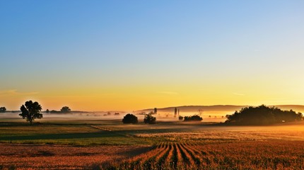 Sonnenaufgang über den Feldern in Ungarn