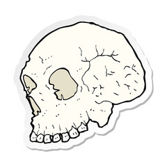 sticker of a skull illustration