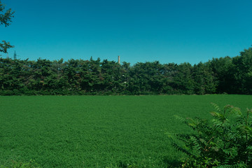Italy,La Spezia to Kasltelruth train, a large green field with trees in the background