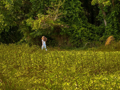 Girl in the Meadow