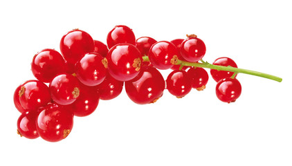 Rote Johannisbeeren