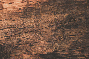 texture of wood