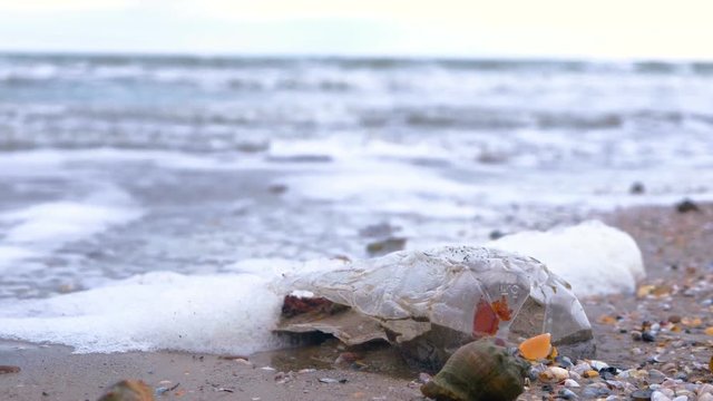 Plastic bottle among rapan shells was brought to the shore on the sandy shore.