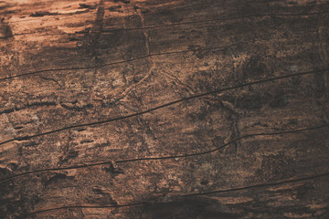 texture of wood