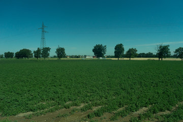 Fototapeta na wymiar Italy,La Spezia to Kasltelruth train, a large green field with trees in the background