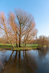 Salisbury, Wiltshire, England, UK, February 2019. The Bishops Grounds and River Avon overlooked by Salisbury Cathedral during winter.