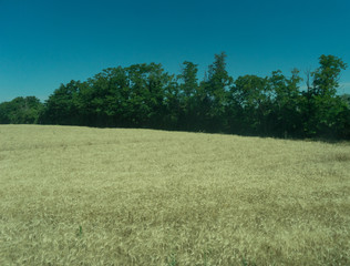 Italy,La Spezia to Kasltelruth train, a large empty field